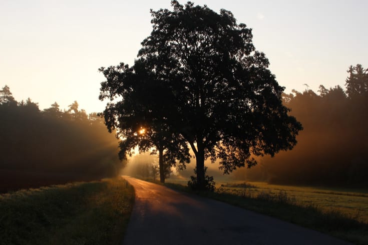 image01