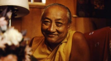 Dzongsar Khyentse Rinpoche Dilgo Khyentse Rinpoche devotion
