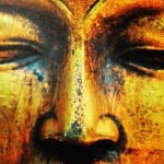 Meditation and Post-Meditation