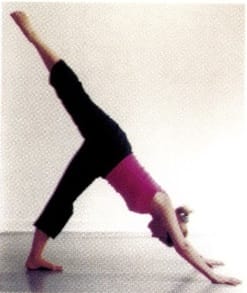 asana10