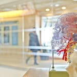 Brain, Body & Benefits: The Science of Mindfulness
