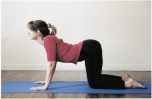Yoga01_3001