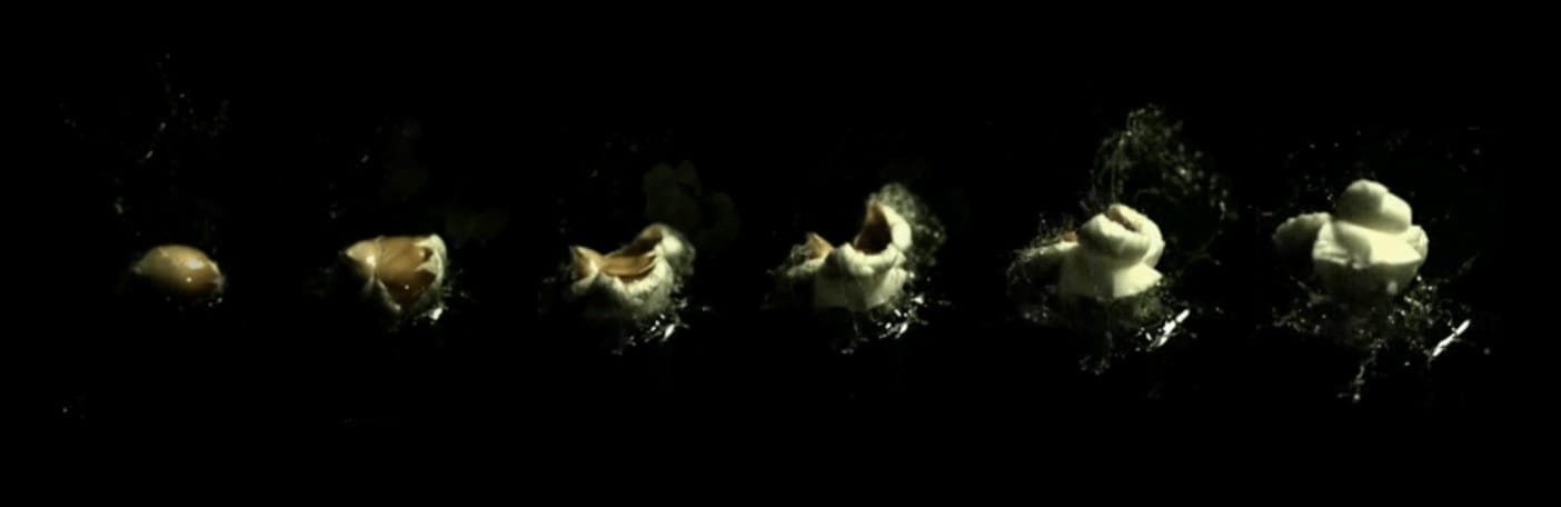Popcorn