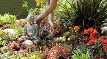 Bernie Glassman Jan Chozen Bays John Daido Loori Los Angeles Zen Center Maezumi Roshi Shambhala Sun - March '04 Zen