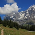 Koan Practice: The Great Way is Not Difficult If You Just Don’t Pick and Choose