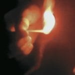 The Light Enters You — An interview with video artist Bill Viola