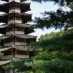 Spring Comes, the Grass Grows by Itself: Remembering Zen Master Seung Sahn (1927-2004)