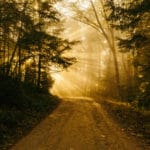 The Inexhaustable, Inspiring Dhammapada