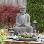 From Seed to Bloom
