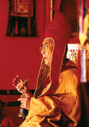 many faces of the dalai lama shambhala sun barry boyce Lion's Roar religious leader