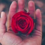 Mindfulness, Love, and Relationship: Polly Young-Eisendrath on “The Training of Love”