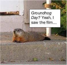 Original image by Erin Silversmith