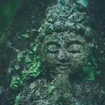 Placebo, chronic fatigue and dormitive principles