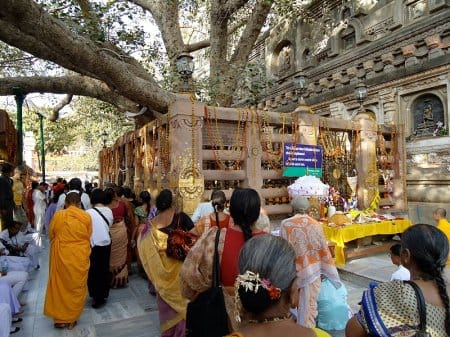 Pilgrims at the Bodhi Tree in Bodhgaya