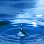 After Earth Day, Active Hope