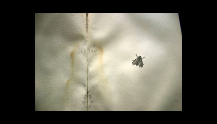silbermanslideshow8