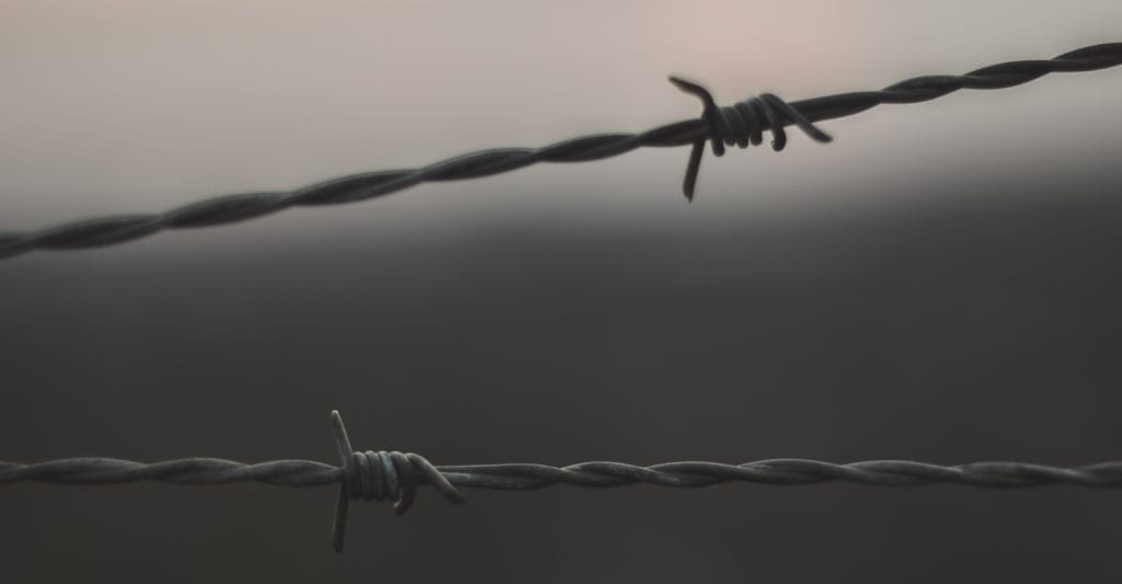 A close up photo of a barbed wire fence.