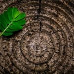 What Is Karma and Why Should it Matter to You?