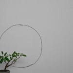 “Zen and the Art of Art: Natalie Goldberg’s Wild Mind School of Writing Practice” — An Excerpt from One Bird, One Stone
