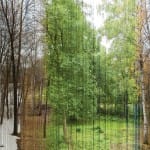 La impermanencia es Naturaleza Búdica