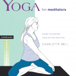 “Yoga for Meditators” teaches you tadasana, or “mountain pose”