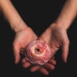 “We Naturally Know What to Give” — Jan Chozen Bays on Joyful Giving