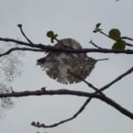 The “Seeing Fresh” contemplative photo of the week