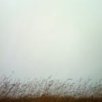 This week’s “Seeing Fresh” photo