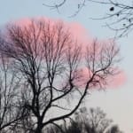 The “Seeing Fresh” contemplative photo of the week