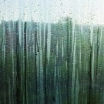 The “Seeing Fresh” contemplative photo of the week