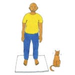 Mindful Movements