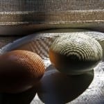 Light and shadow at play in this week’s “Seeing Fresh” photo