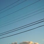 This week’s Seeing Fresh photo: Simplicity and richness, suspended in space