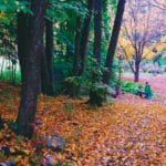 Pema Chödrön on 4 Keys to Waking Up