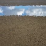 The “Seeing Fresh” Contemplative Photo of the Moment…