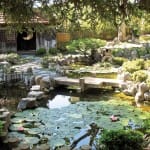 The Heart of a Garden