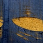 Shabby meets chic in this “Seeing Fresh” contemplative photo of the moment…