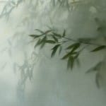 Subtle and elegant perception: The “Seeing Fresh” contemplative photo of the moment