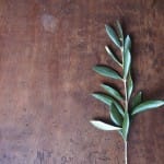 Confronting Abuse: Be Proactive