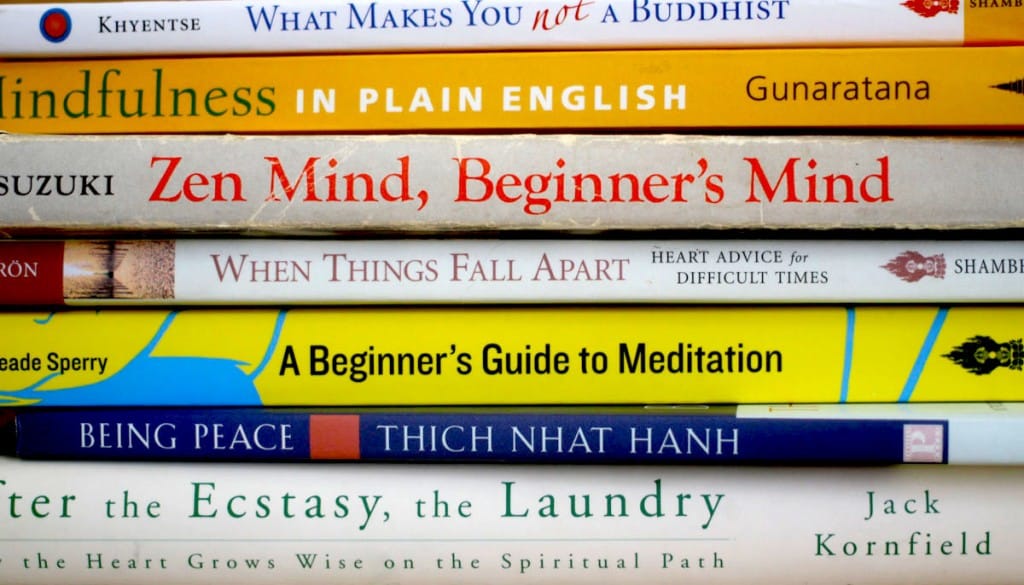 Buddhist books Pema Chodron Chogyam Trungpa Rinpoche Shunryu Suzuki Roshi Jack Kornfield Sharon Salzberg Dzongsar Khyentse Rinpoche meditation library
