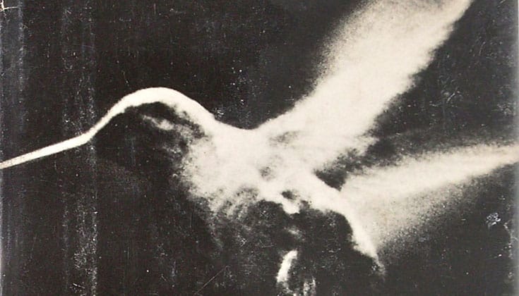Henry miller Buddhist Lion's Roar hummingbird