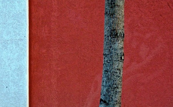 photo of the week andy karr contemplative photography miksang seeing fresh leaf metal grate shadow