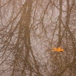 The “Seeing Fresh” contemplative photo of April 2015