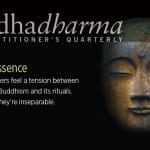 Inside the Summer 2015 Buddhadharma magazine