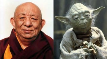 Tsenzhab Serkong rinpoche yoda Buddhism Dalai Lama tutor debate partner Lion's Roar news Star Wars the Force jedi