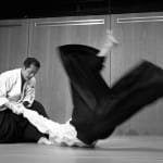 The Practice of the Way
