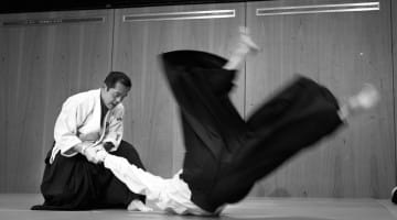 John Stevens Aikido Shambhala Sun Lion's Roar Buddhism Japan