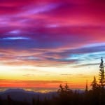 The Basic Principle of Bodhicitta