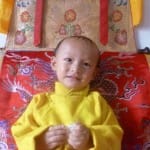 Trulshik Rinpoche’s successor recognized