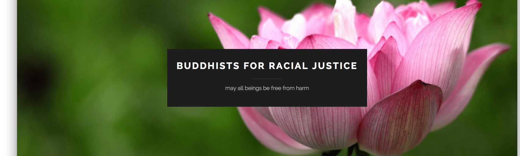 buddhists for racial justice, website, open letter, angel kyodo william, tara brach